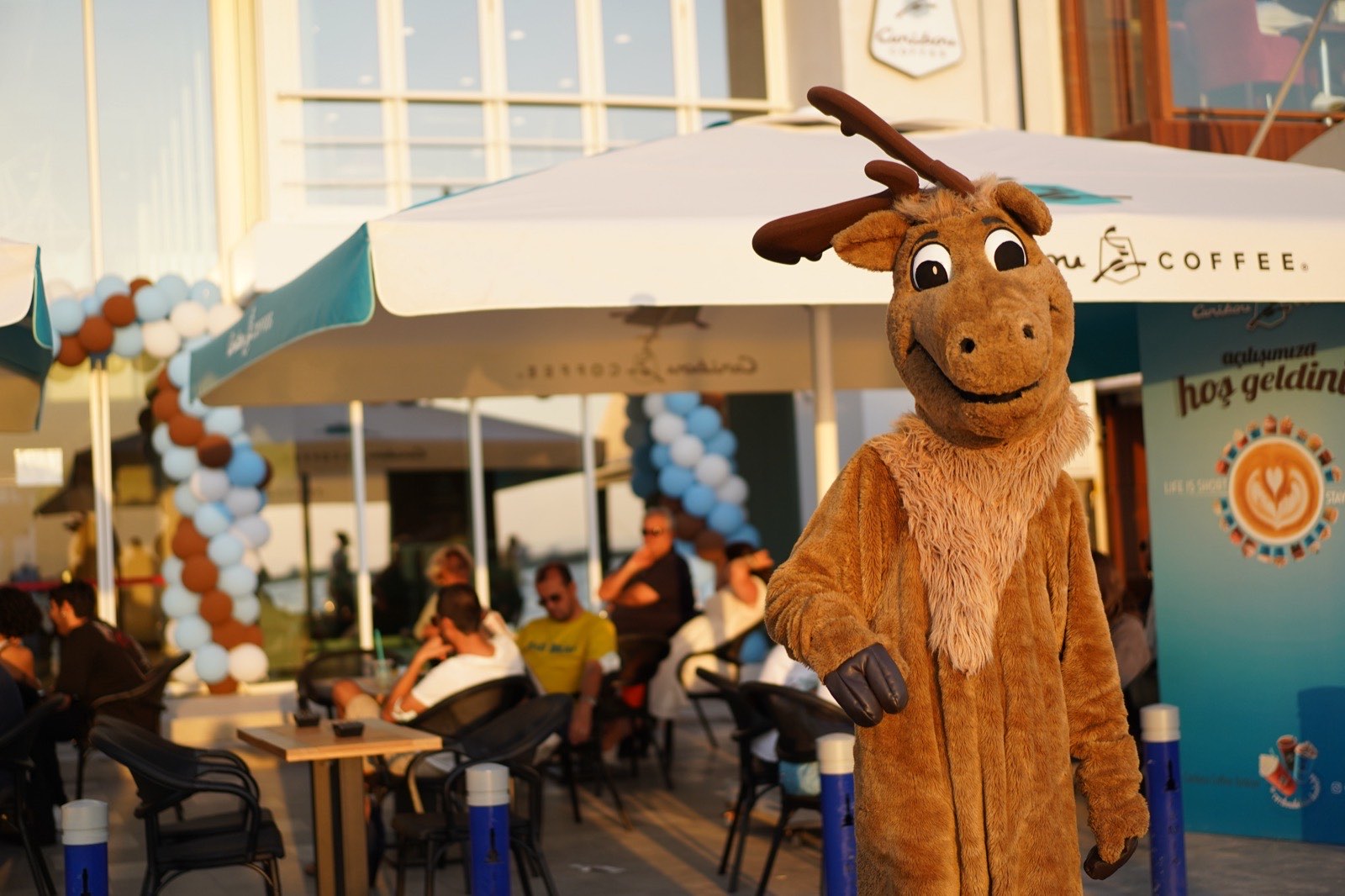 Caribou Coffee mağaza açılışı